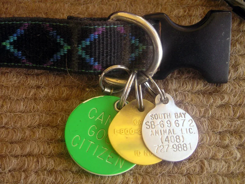 Identification tags attached to a collar