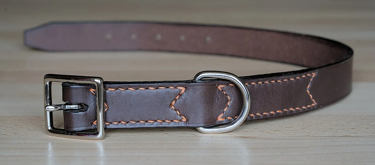 Brown pet collar with metal buckle